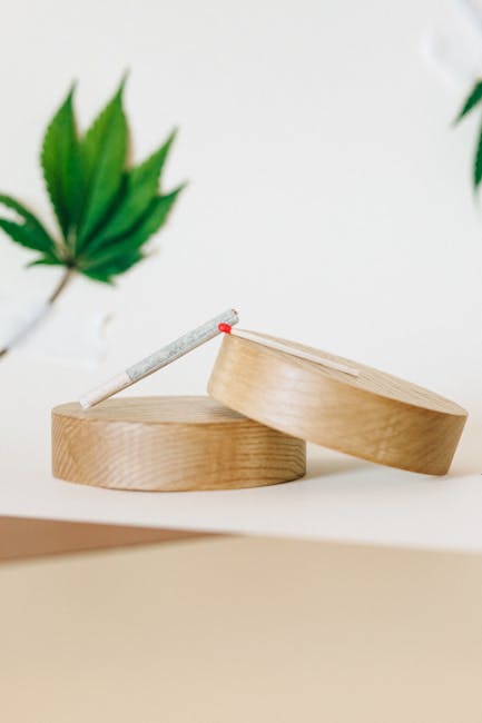 Семена конопли Auto White Widow feminised от Ganja Seeds