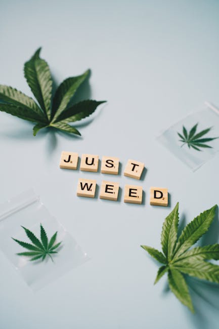 Покупка гашиша онлайн