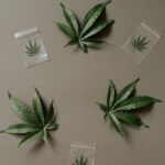 Купить марихуану в России img-1299.jpg