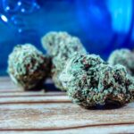 Сушка семян конопли: основные аспекты и методы img-1677.jpg