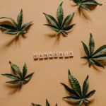 Спайс в Ростове на Дону свойства и правовой статус img-1774.jpg