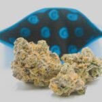 Покупка семян конопли онлайн и выбор надежного магазина img-2252.jpg