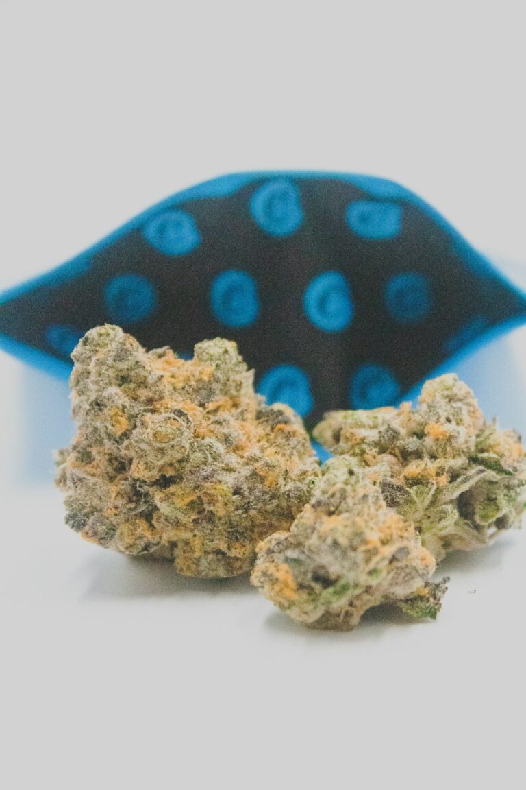 Покупка семян конопли онлайн и выбор надежного магазина