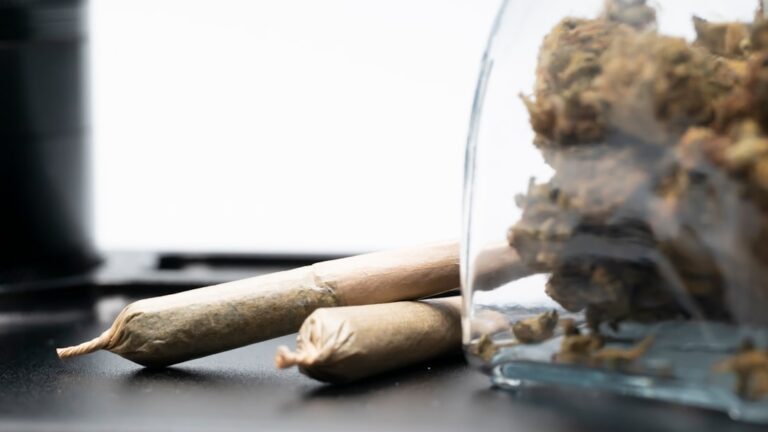 Купить семена конопли наложенным платежом в России и Украине