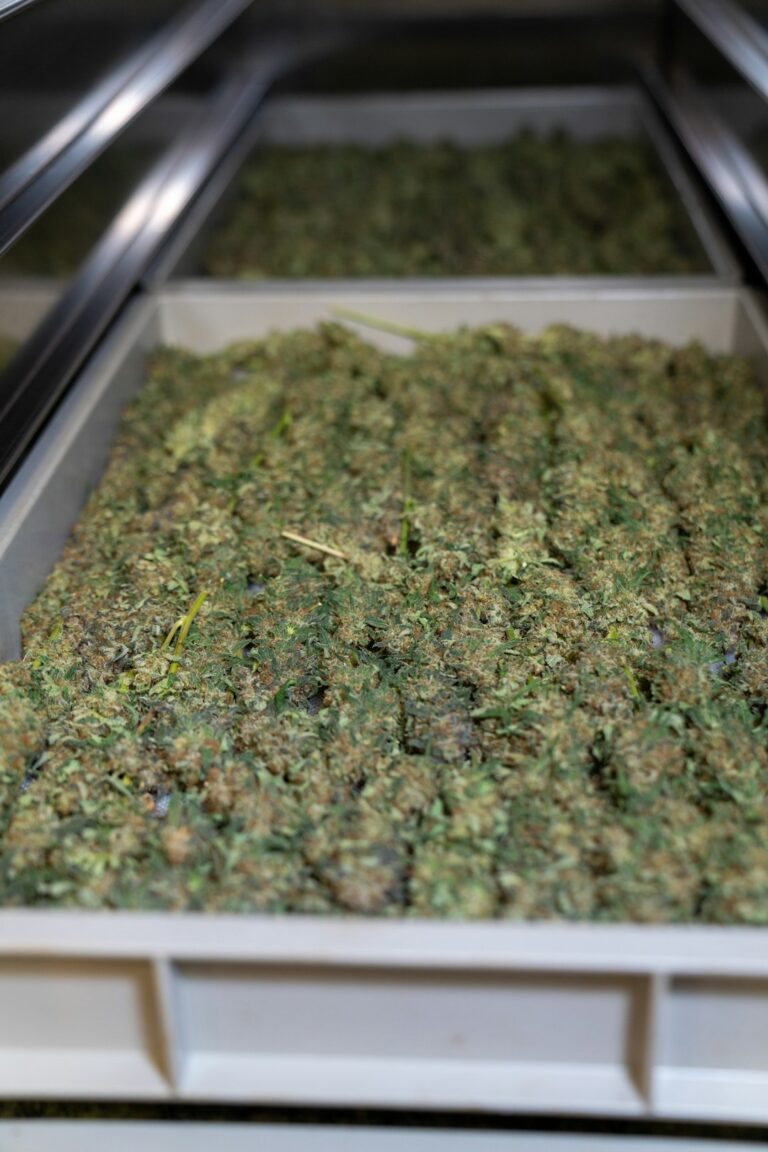 Свойства и преимущества конопляной и льняной ткани