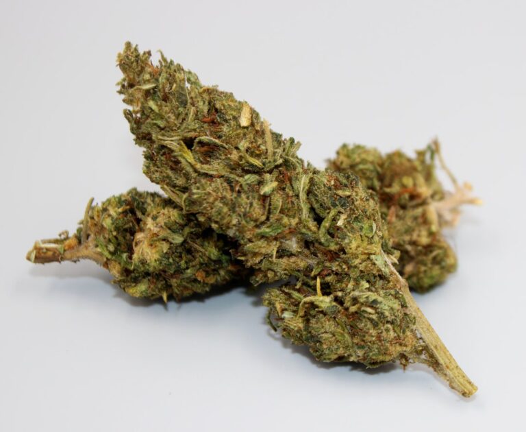 Шишки конопли свойства и эффекты где купить онлайн