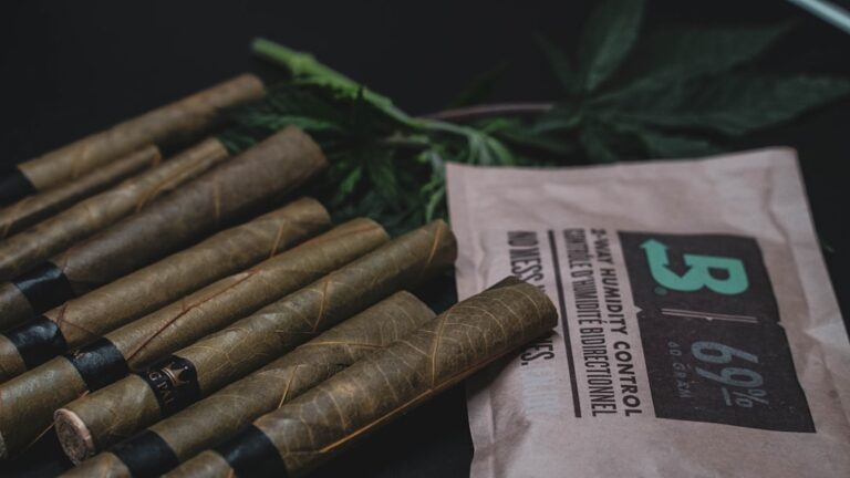 Конопляная паста и ее использование в кулинарии