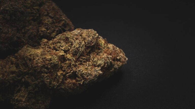 Курительная смесь Спайс свойства и эффекты