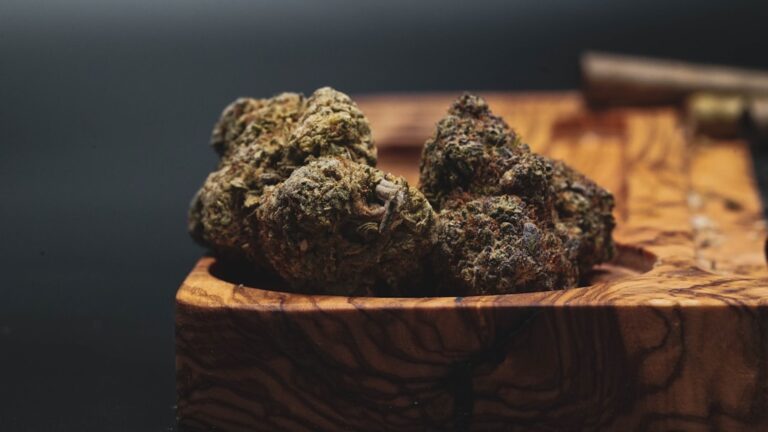 Купить семена марихуаны онлайн в России