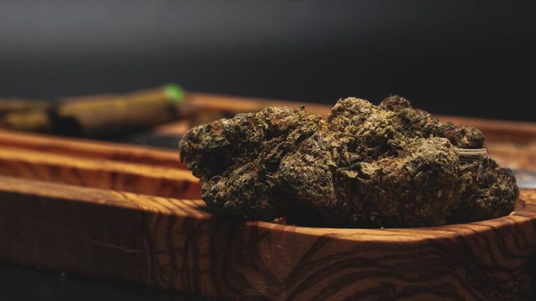 Магазин семян конопли в Москве: как выбрать и купить семена конопли онлайн