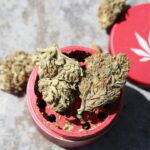 Покупка семян марихуаны в интернет магазине семян: преимущества и советы img-2707.jpg