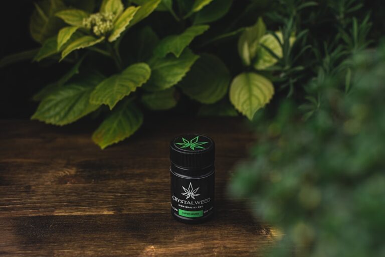 Наркотики и наркорынок в Анапе: обзор проблемы