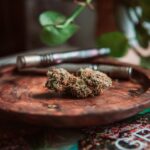 Семена конопли полезные свойства и использование в кулинарии img-2765.jpg