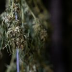 Проблема наркозависимости в Новосибирске img-2901.jpg