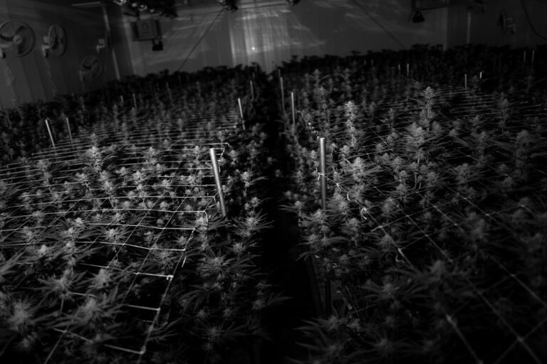 Наркотики на Кубе обзор ситуации