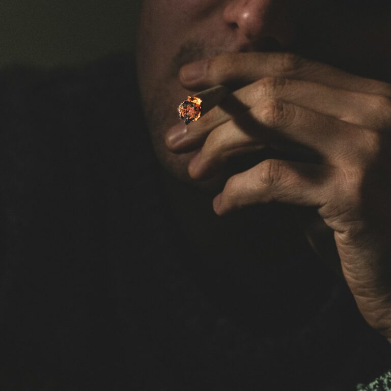 Карликовая конопля и ее преимущества для индорного выращивания