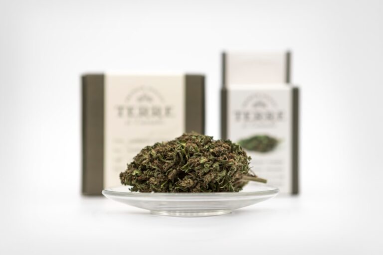 Семена марихуаны и их использование в Алматы