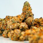 Гашиш в Турции: законодательство, цены и региональные особенности img-3104.jpg