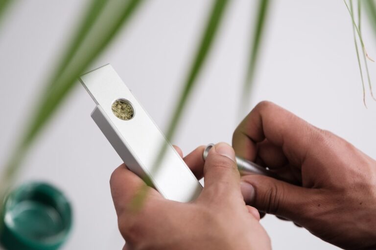 Семена канабиса и марихуаны