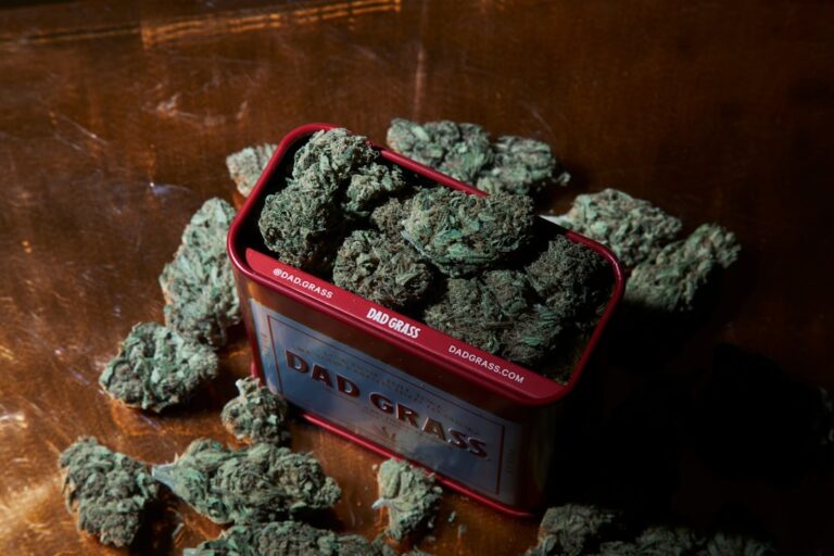 Семена конопли в Крыму