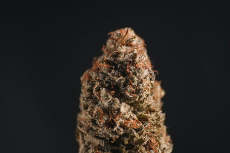 Свойства и польза семян конопли