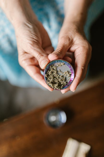 Сорт конопли Auto Cream Caramel feminised Sweet Seeds