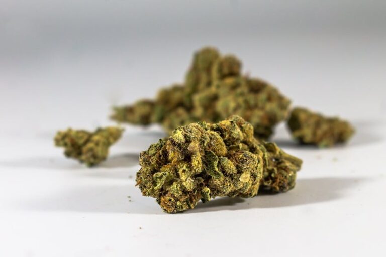 Сорт конопли Auto Issyk feminised от Bang Seeds